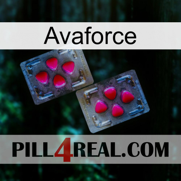 Avaforce 15